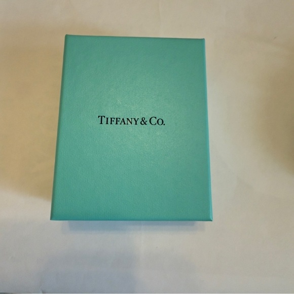 Tiffany Blue Empty Box and pouch - Picture 1 of 5